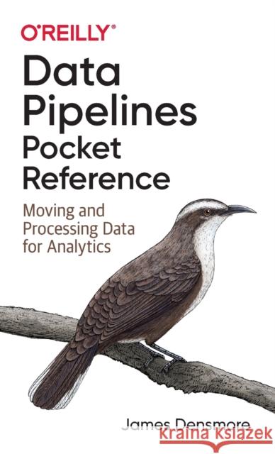 Data Pipelines Pocket Reference: Moving and Processing Data for Analytics James Densmore 9781492087830 O'Reilly Media - książka