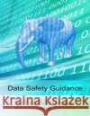 Data Safety Guidance The Data Safety Initiative Working Group MR Paul Hampton 9781519533579 Createspace Independent Publishing Platform
