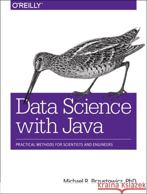 Data Science with Java: Practical Methods for Scientists and Engineers Brzustowicz, Michael 9781491934111 John Wiley & Sons - książka