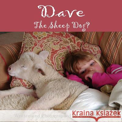 Dave the Sheep Dog? Carrie McKie 9781944393007 Piscataqua Press - książka