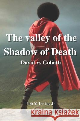 David & Goliath: Tanakh In Color Job M Levine, Jr   9798379230883 Independently Published - książka