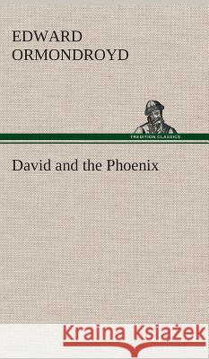 David and the Phoenix Edward Ormondroyd 9783849517816 Tredition Classics - książka
