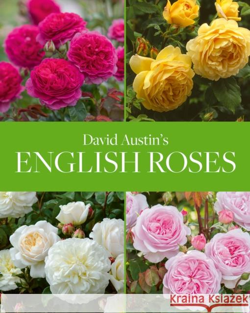 David Austin's English Roses David Austin Michael Marriott 9781788840194 Acc Art Books - książka