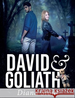 David & Goliath Diana Stout 9780997422375 Sharpened Pencils Productions LLC - książka