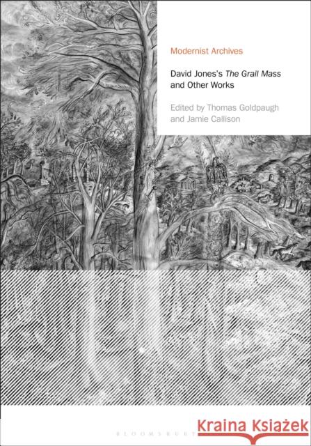 David Jones's the Grail Mass and Other Works David Jones Thomas Goldpaugh Jamie Callison 9781350052062 Bloomsbury Academic - książka