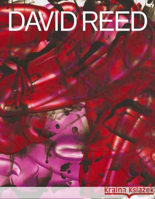David Reed Richard Shiff 9780847871766 Gagosian / Rizzoli - książka