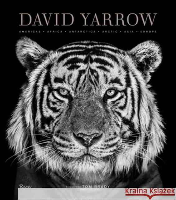 David Yarrow Photography: Americas Africa Antarctica Arctic Asia Europe Tom Brady 9780847864775 Rizzoli International Publications - książka