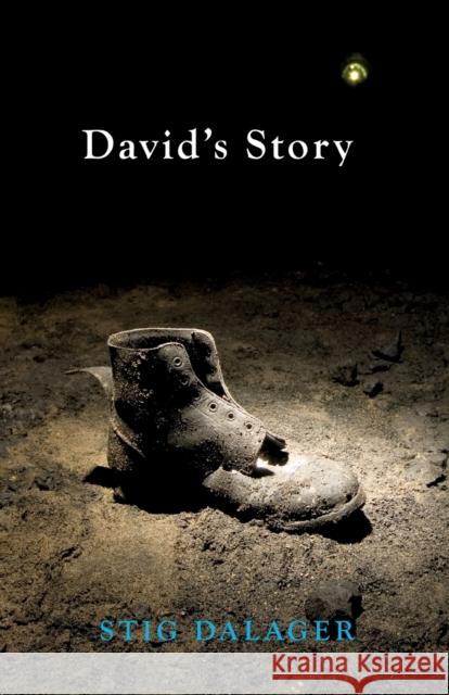 David's Story Stig Dalager 9781906582043 Aurora Metro Press - książka