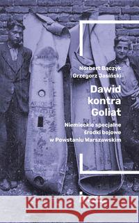 Dawid kontra Goliat Praca Zbiorowa 9788366340305 Instytut Pileckiego - książka