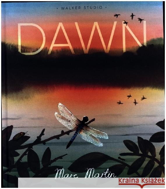 Dawn: Watch the World Awaken Marc Martin 9781529527346 Walker Books Ltd - książka