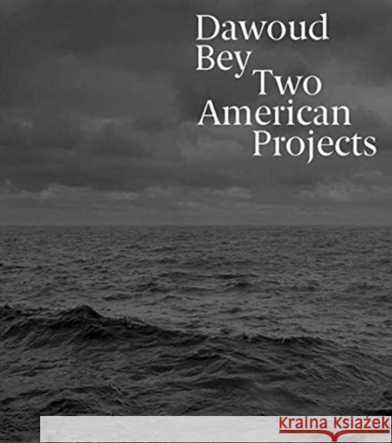 Dawoud Bey: Two American Projects Corey Keller Elisabeth Sherman Torkwase Dyson 9780300248500 Yale University Press - książka