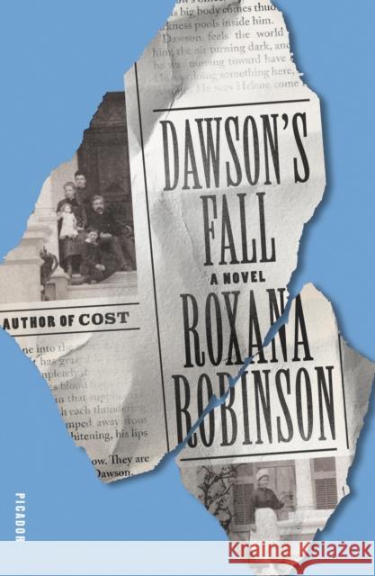 Dawson's Fall Roxana Robinson 9781250619662 Picador USA - książka