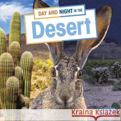 Day and Night in the Desert Ellen Labrecque 9781663976949 Pebble Books - książka