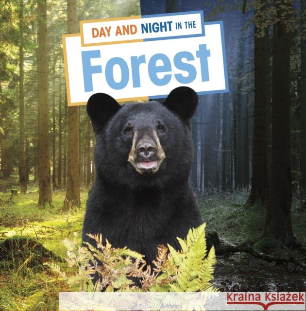 Day and Night in the Forest Ellen Labrecque 9781398241800 Capstone Global Library Ltd - książka