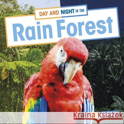Day and Night in the Rain Forest Ellen Labrecque 9781663976918 Pebble Books - książka