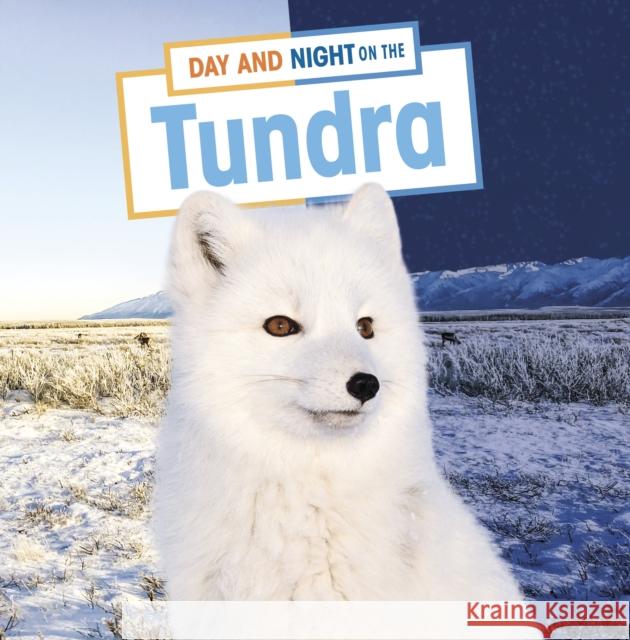 Day and Night on the Tundra Mary Boone 9781398241978 Capstone Global Library Ltd - książka