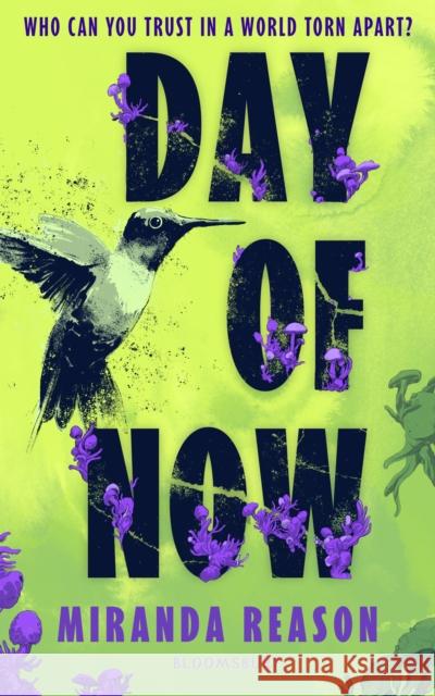 Day of Now Miranda Reason 9781526684332 Bloomsbury Publishing PLC - książka
