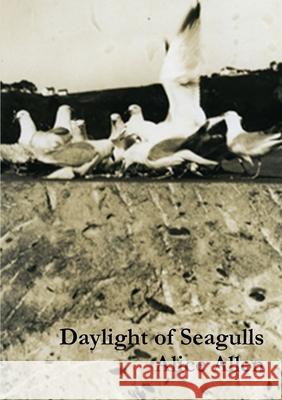Daylight of Seagulls Alice Allen 9781913201128 High Window - książka