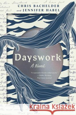 Dayswork - A Novel  9781324086499 W. W. Norton & Company - książka