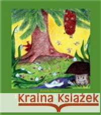 Dědeček vypráví pohádky o lese Václav Erich 9788072295432 Petrklíč - książka
