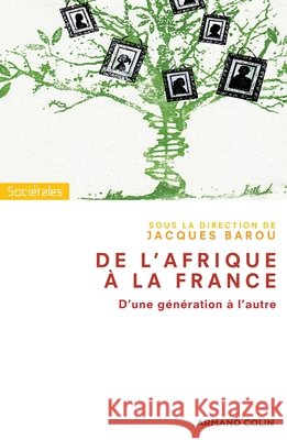 De l'Afrique ? la France: D'une g?n?ration ? l'autre Jacques Barou 9782200255848 Armand Colin - książka