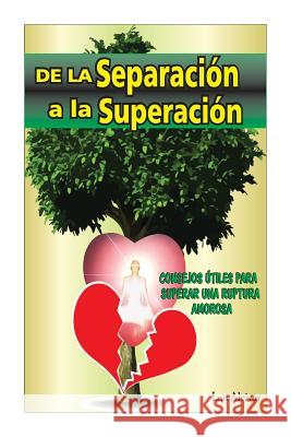 De la Separacion a la Superacion Alcivar Delgado Ec, Luis Carlos 9781500991067 Createspace - książka