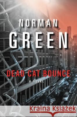 Dead Cat Bounce Norman Green 9780060851699 HarperCollins Publishers - książka