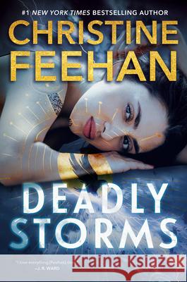 Deadly Storms Christine Feehan 9781420527131 Thorndike Press Large Print - książka