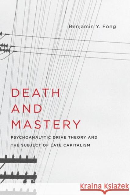 Death and Mastery: Psychoanalytic Drive Theory and the Subject of Late Capitalism Benjamin Y. Fong 9780231176682 Columbia University Press - książka