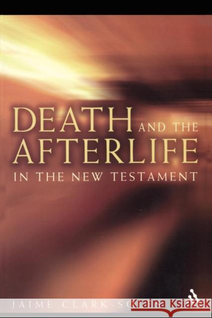 Death and the Afterlife in the New Testament Jaime Clark-Soles 9780567029126 T. & T. Clark Publishers - książka