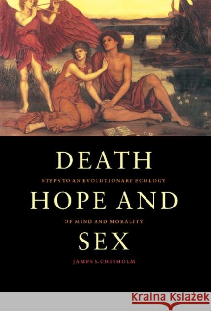 Death, Hope and Sex: Steps to an Evolutionary Ecology of Mind and Morality James S. Chisholm (University of Western Australia, Perth) 9780521592819 Cambridge University Press - książka