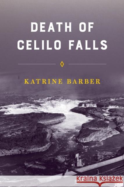 Death of Celilo Falls Katrine Barber 9780295744605 University of Washington Press - książka