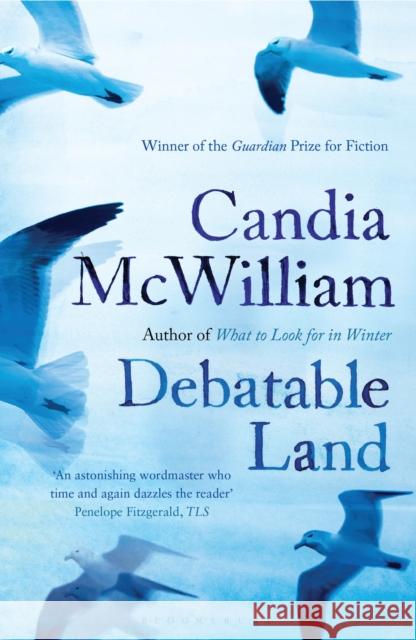 Debatable Land : reissued Candia McWilliam 9781408822999  - książka