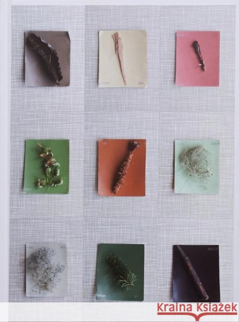 Debby Huysmans - Late Spring  9789490800239 APE - książka