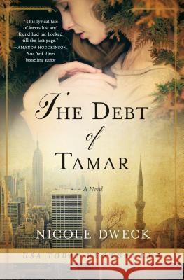 Debt of Tamar Nicole Dweck 9781250065681 Thomas Dunne Books - książka