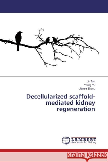 Decellularized scaffold-mediated kidney regeneration Mei, Jin; Yu, Yaling; Zhang, Jianse 9783330330955 LAP Lambert Academic Publishing - książka