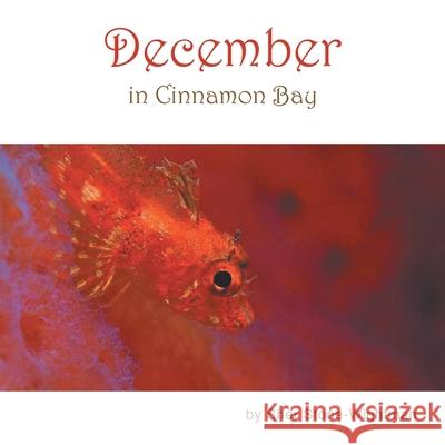 December in Cinnamon Bay Sher Stone-Wightman 9781982241551 Balboa Press - książka