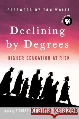 Declining by Degrees : Higher Education at Risk Richard H. Hersh John Merrow Tom Wolfe 9781403973160 Palgrave MacMillan - książka