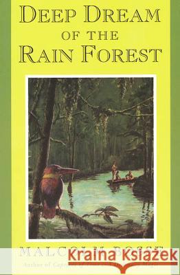 Deep Dream of the Rain Forest Malcolm Bosse 9780374417024 Farrar Straus Giroux - książka