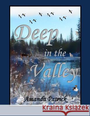 Deep in the Valley Amanda Patrick 9781494277604 Createspace - książka