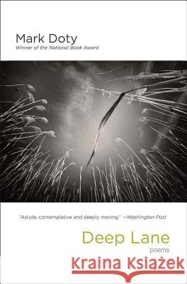 Deep Lane: Poems Mark Doty 9780393353228 W. W. Norton & Company - książka