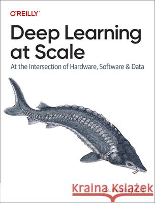 Deep Learning at Scale  9781098145286 O'Reilly Media - książka