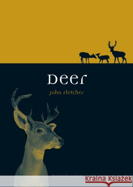 Deer John Fletcher 9781780230887  - książka