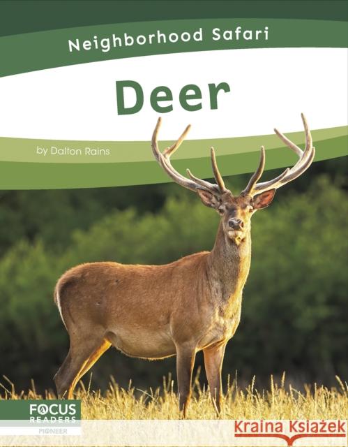 Deer Dalton Rains 9798889982302 Focus Readers - książka