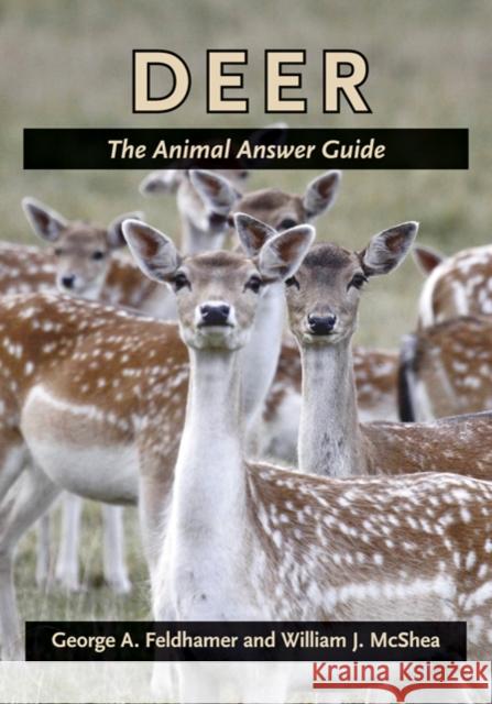 Deer: The Animal Answer Guide Feldhamer, George A. 9781421403878 Johns Hopkins University Press - książka