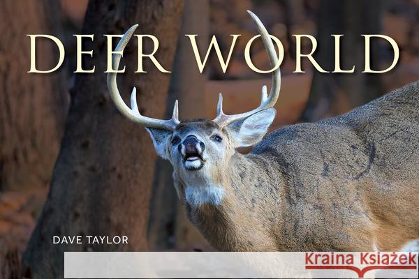 Deer World Dave Taylor 9780228105992 Firefly Books - książka