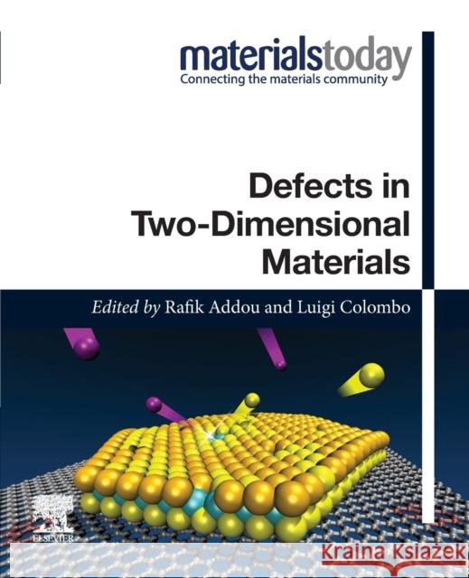 Defects in Two-Dimensional Materials Rafik Addou Luigi Colombo 9780128202920 Elsevier - książka