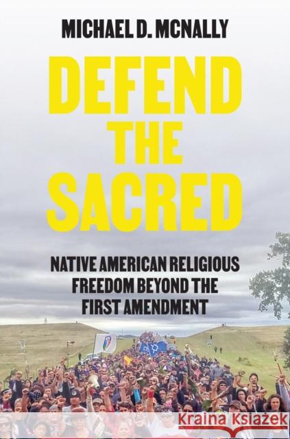 Defend the Sacred: Native American Religious Freedom Beyond the First Amendment Michael D. McNally 9780691190891 Princeton University Press - książka