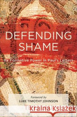 Defending Shame Lau, Te-Li 9781540962775 Baker Academic - książka