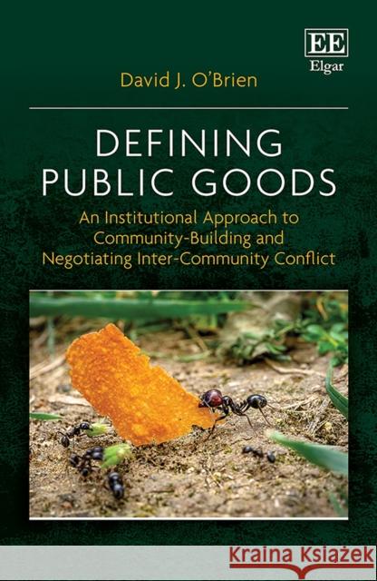 Defining Public Goods: An Institutional Approach to Community-Building and Negotiating Inter-Community Conflict David J. O'Brien   9781800885424 Edward Elgar Publishing Ltd - książka